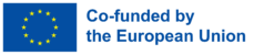 Cofinançat per la Unió Europea